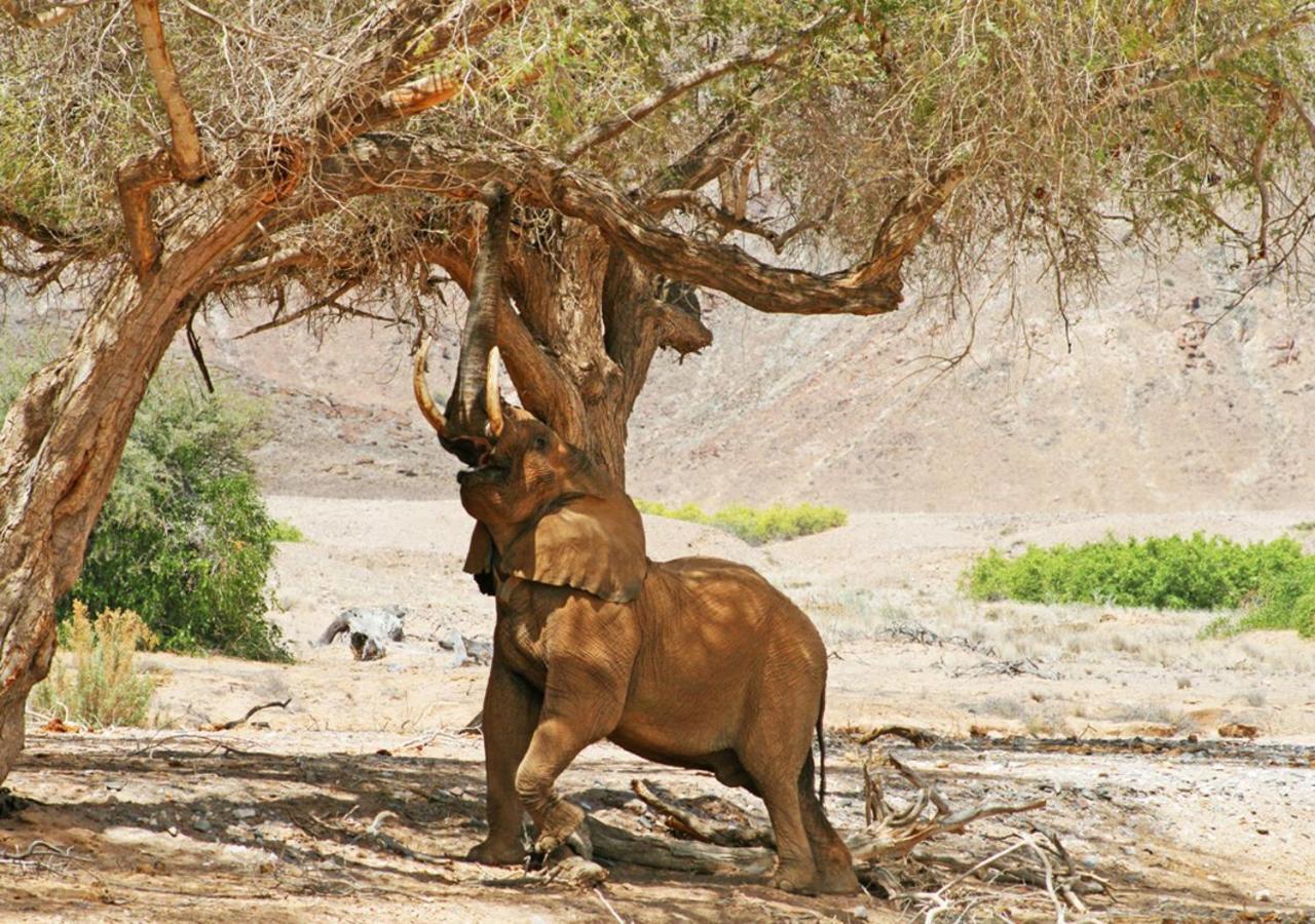 Khowarib Lodge Exteriér fotografie